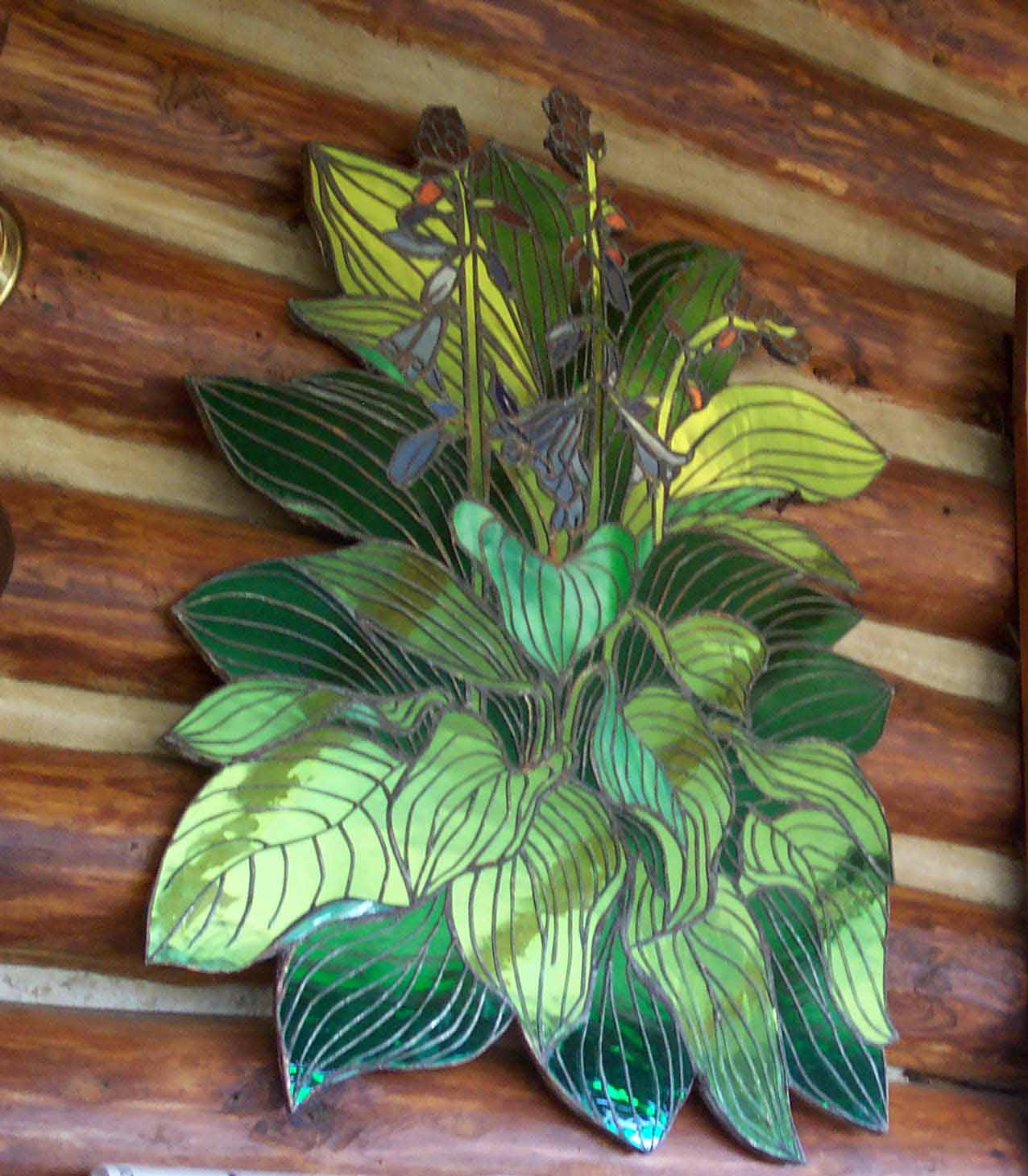 hosta mirror